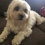 Baxter Hill - @baxter_hill_2 - Instagram