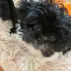 Baxter B. Howell - @baxterbhowell - TikTok