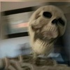 Baxter - @.baxterhunt - TikTok