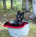 Baxter Hunter - Facebook