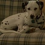 Baxter Ingram - Facebook