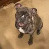 Baxter_Jackson - @baxter_jackson - TikTok