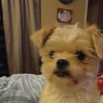 Baxter Jackson - @bazxjackson - Instagram