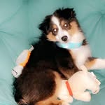 Baxter Jackson - @bigboibaxter - Instagram