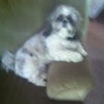 Baxter Thomas Jackson - @baxter_28 - Instagram