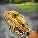 Anne Baxter Johnson - @spidergal55 - Instagram