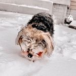 Baxter Johnson - @baxter_johnson3 - Instagram