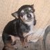 Baxter Johnson - Facebook