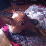 Baxter Johnson - @baxterjohnson - Instagram