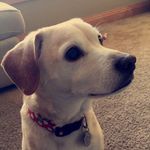 baxter johnson:) - @baxter.johnson_ - Instagram