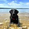 Baxter Johnson - @baxterjohnson - TikTok