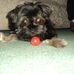 Baxter Johnson - Facebook