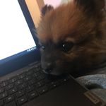 Baxter Johnson - @baxter.johnson9 - Instagram