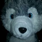 Baxter Johnson - @baxter_2.4 - Instagram