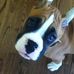 Baxter Johnson - Facebook