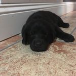 Baxter_Johnson - @baxter_johnson - Instagram