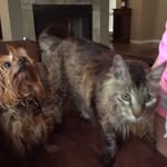 Baxter - @baxter_martin - Instagram
