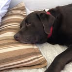 Baxter Martin - Facebook