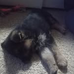 baxter martin - @baxtermartin17 - Instagram