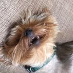 Baxter Martin - @baxter12234 - Instagram