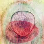 Baxter Martin - @liminal_sugar - Instagram