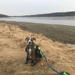 Baxter Martin - @adventures_w_baxter - Instagram