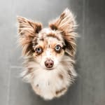 Baxter Martin - @blueeyedbaxter - Instagram