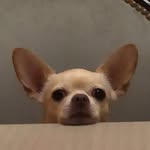 Baxter Martinez - @baxtumartinez - Instagram