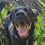 Baxter Martinez - @pogibaxter - Instagram
