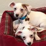 Baxter Stockman/Kevin Martinez - @baxter_and_kevin - Instagram