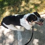 Baxter Jason Moore - @adventures_of_bax - Instagram