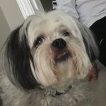 Baxter Moore - @baxter_moore - Instagram