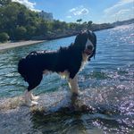 Baxter Moore - @sir_baxter4406 - Instagram
