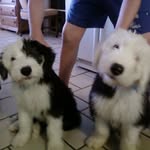 Baxter & Murphy Kenny - @baxterandmurphykenny - Instagram