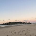 Baxter - @baxter.murphy17 - Instagram