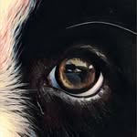 Baxter - @baxter_murphy_ - Instagram