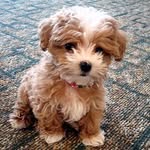 Murphy Baxter - @murphy.baxter.1426 - Instagram