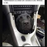 Murphy Baxter - @murphybaxter37 - Instagram