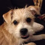 Murphy Baxter Dobbins - @murphybaxter - Instagram