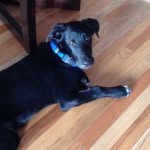 Murphy Davis - @murphy_baxter_davis - Instagram
