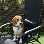 Baxter Phillips - @baxtergram1 - Instagram