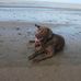 Baxter Porter - Facebook