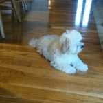 baxter.porter - @baxter.porter - Instagram