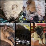 PorterPoeRidleyBaxterBader - @porterpoeridleybaxter - Instagram