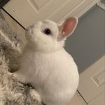 𝙱𝚊𝚡𝚝𝚎𝚛🐇💜 - @baxter.reid - Instagram