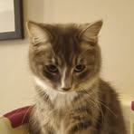 Baxter Reid - Facebook