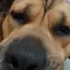 baxter Richardson - @graceylou122 - TikTok