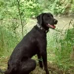 Baxter B Schmidt - @baxterbschmidt - Instagram