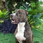Baxter Schmidt - Facebook