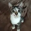 Samantha Baxter Schmidt - @samibaxters - TikTok